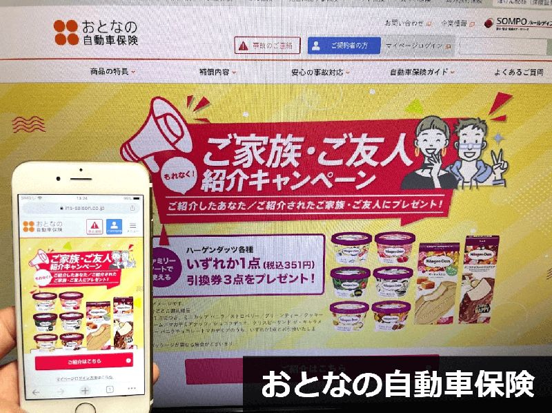 おとなの自動車保険公式サイトの自動車保険プレゼントキャンペーンのスクリーンショット画像